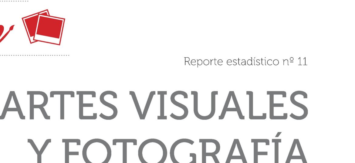 Reporte Estadístico N°11 .Artes Visuales y Fotografía