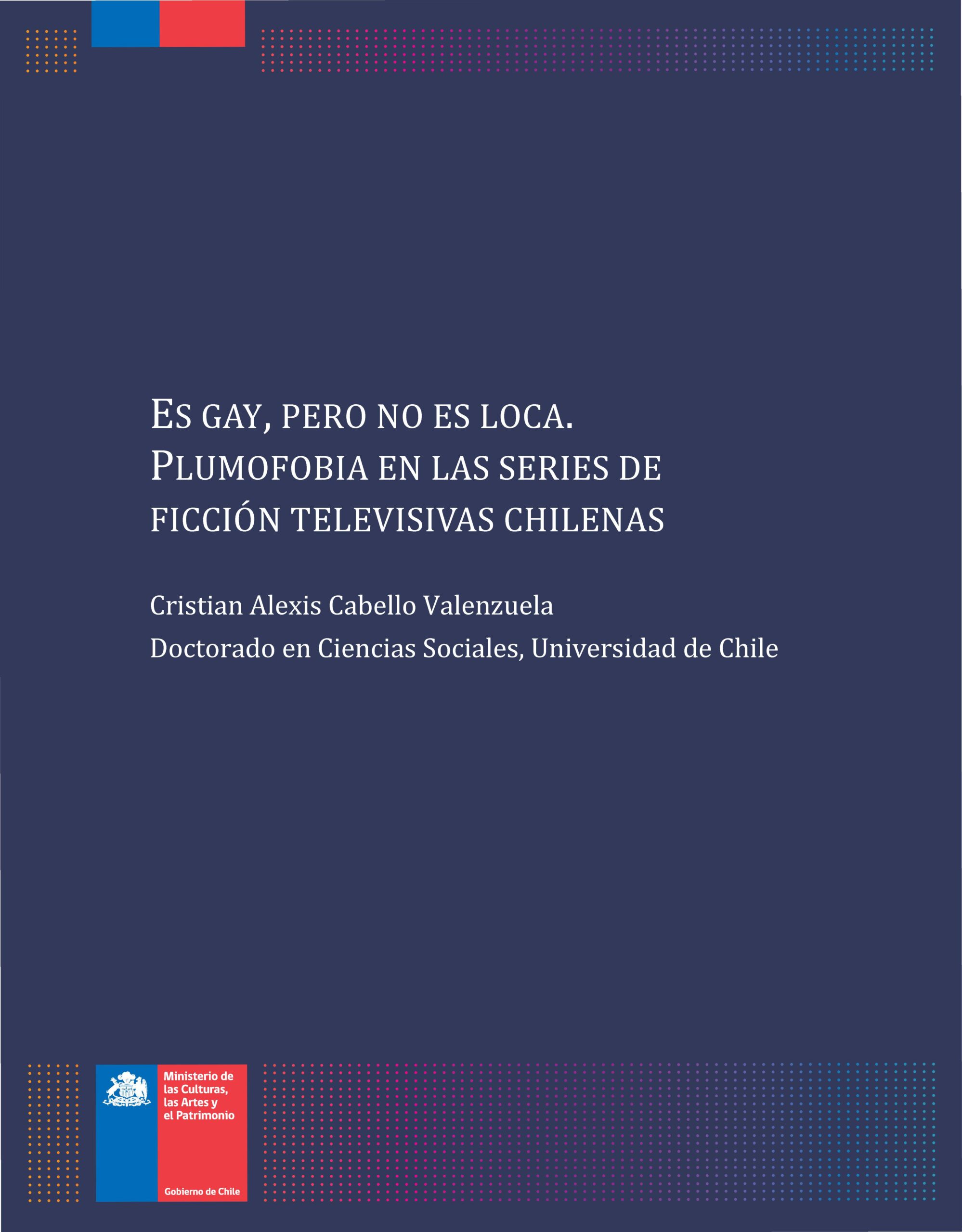Imagen del objeto patrimonial: Es gay, pero no es loca. Plumofobia en las series de ficción televisivas chilenas